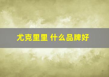 尤克里里 什么品牌好